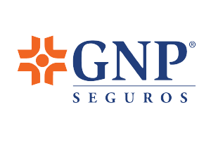 seguros